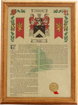 Coat Of Arms & Surname History